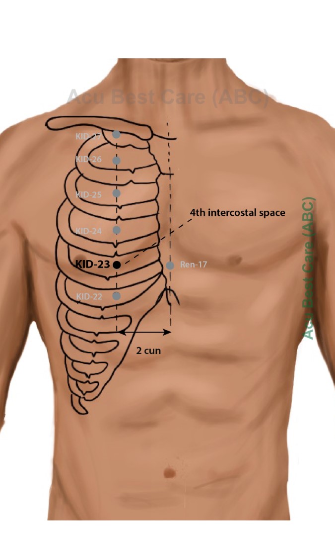 Acubestcare Meridian K-23 or KID-23